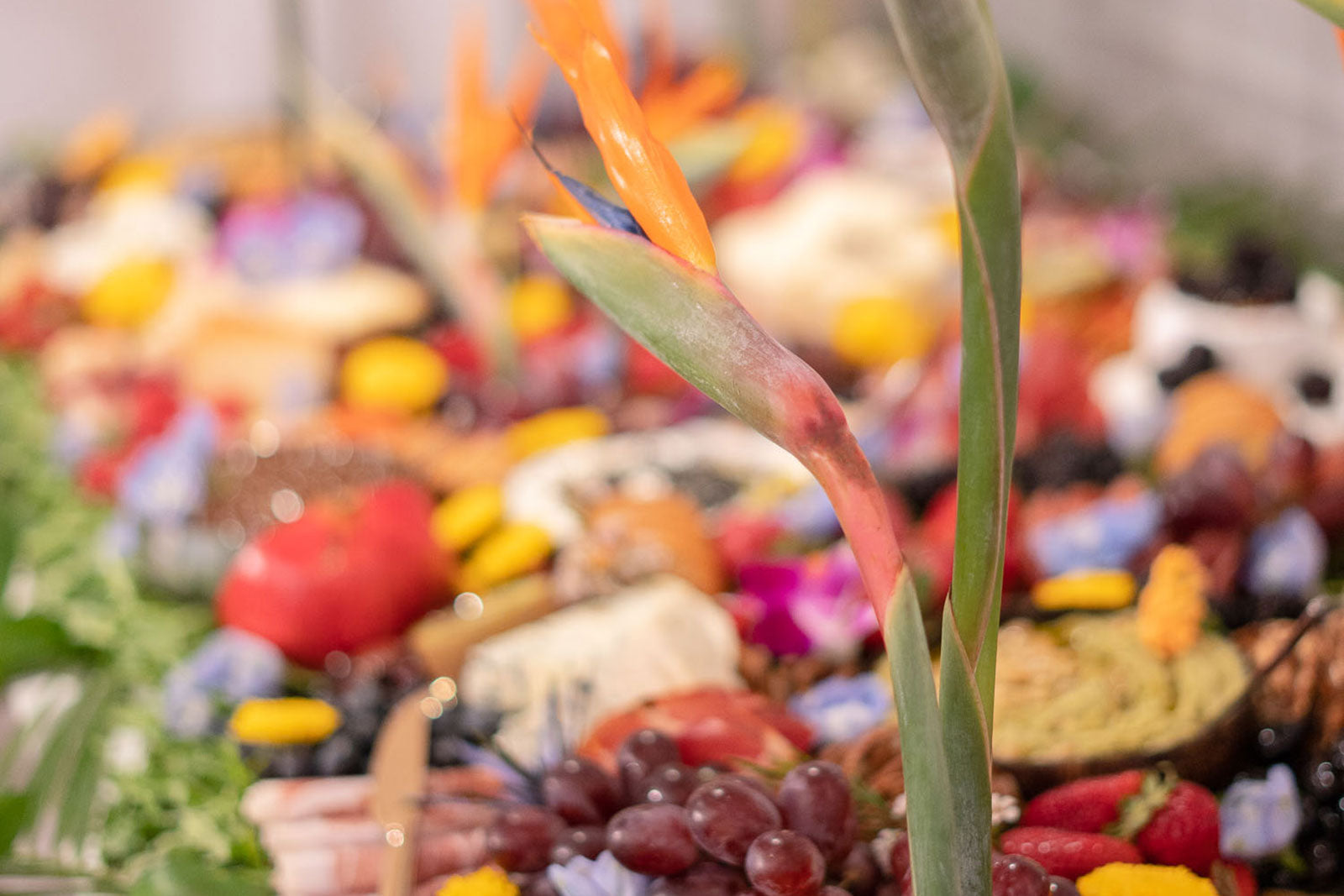 Birds of Paradise - Vancouver Event