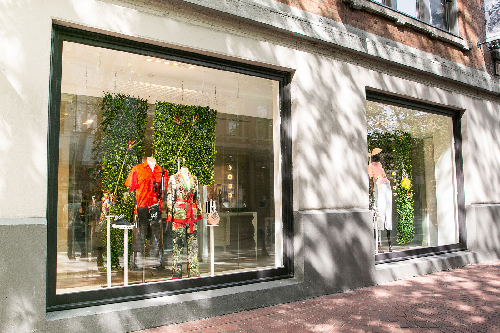 Tropical Paradise of Your Dreams