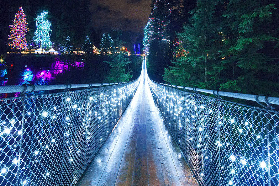 Our 10 Best Christmas To Do’s – in no particular order, because they’re all awesome!