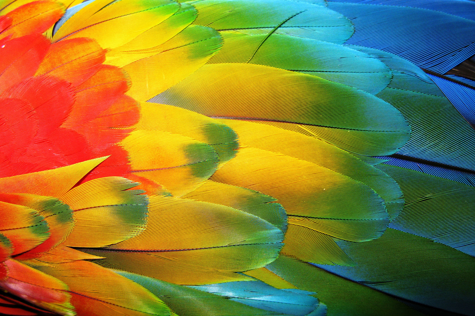 Wear your way to wellness