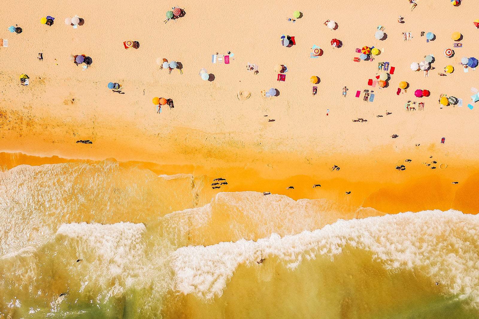 Experience Vancouver's Best This Summer