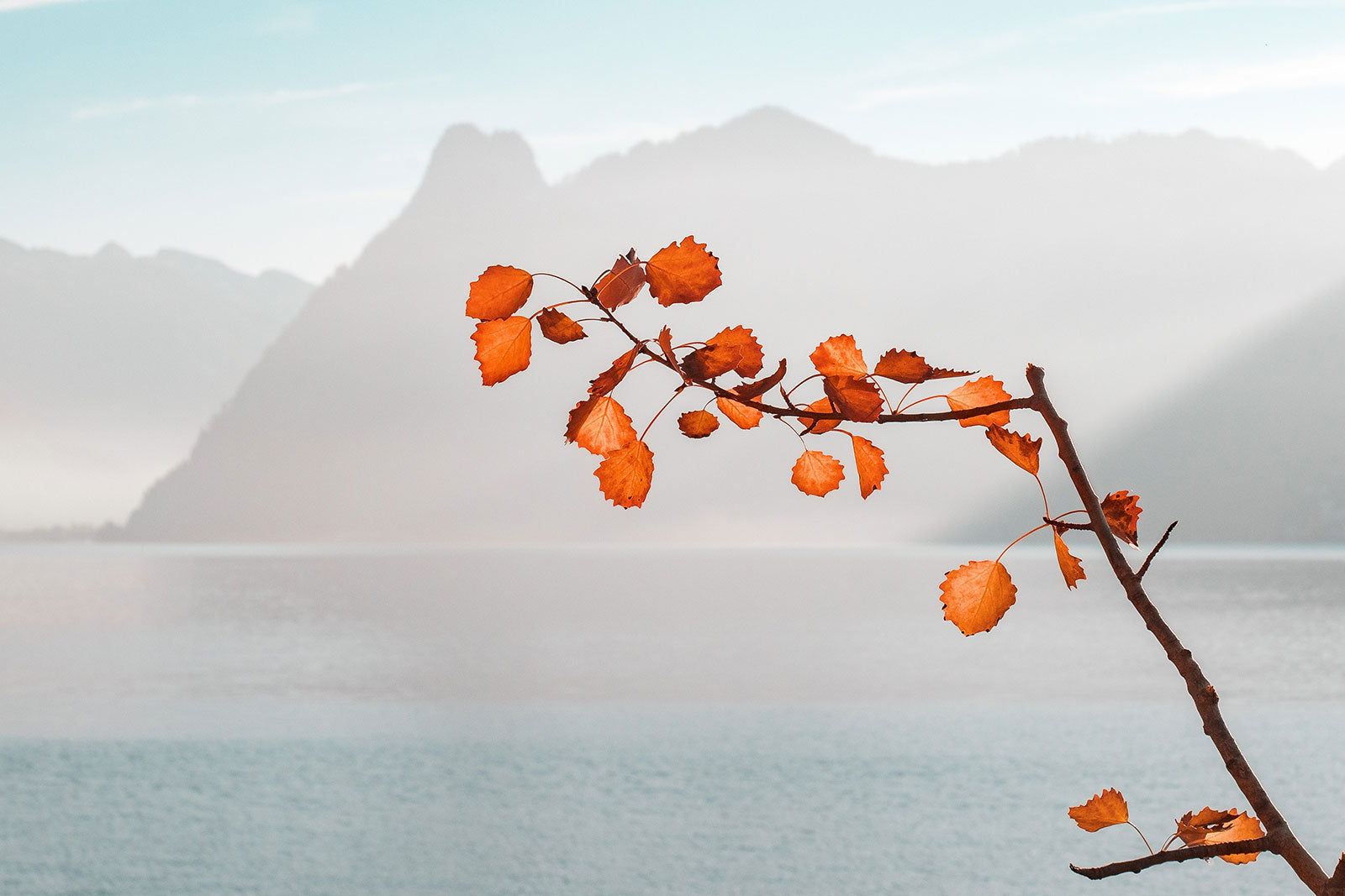 The Season of Skincare - Our Secret Regimen