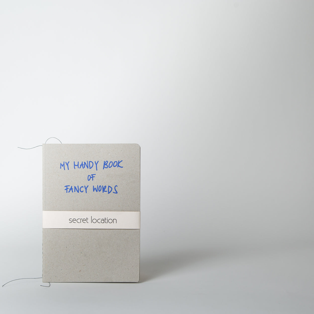 Fancy Words Notebook, cobalt - Secret Location