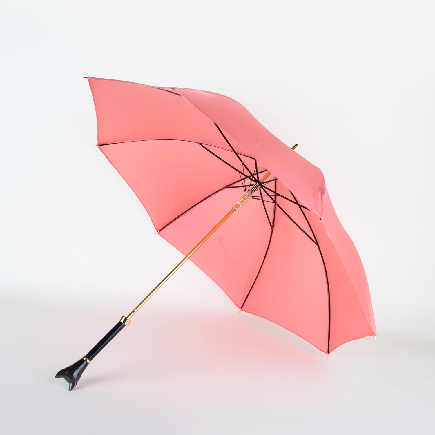Cat Umbrella - Secret Location