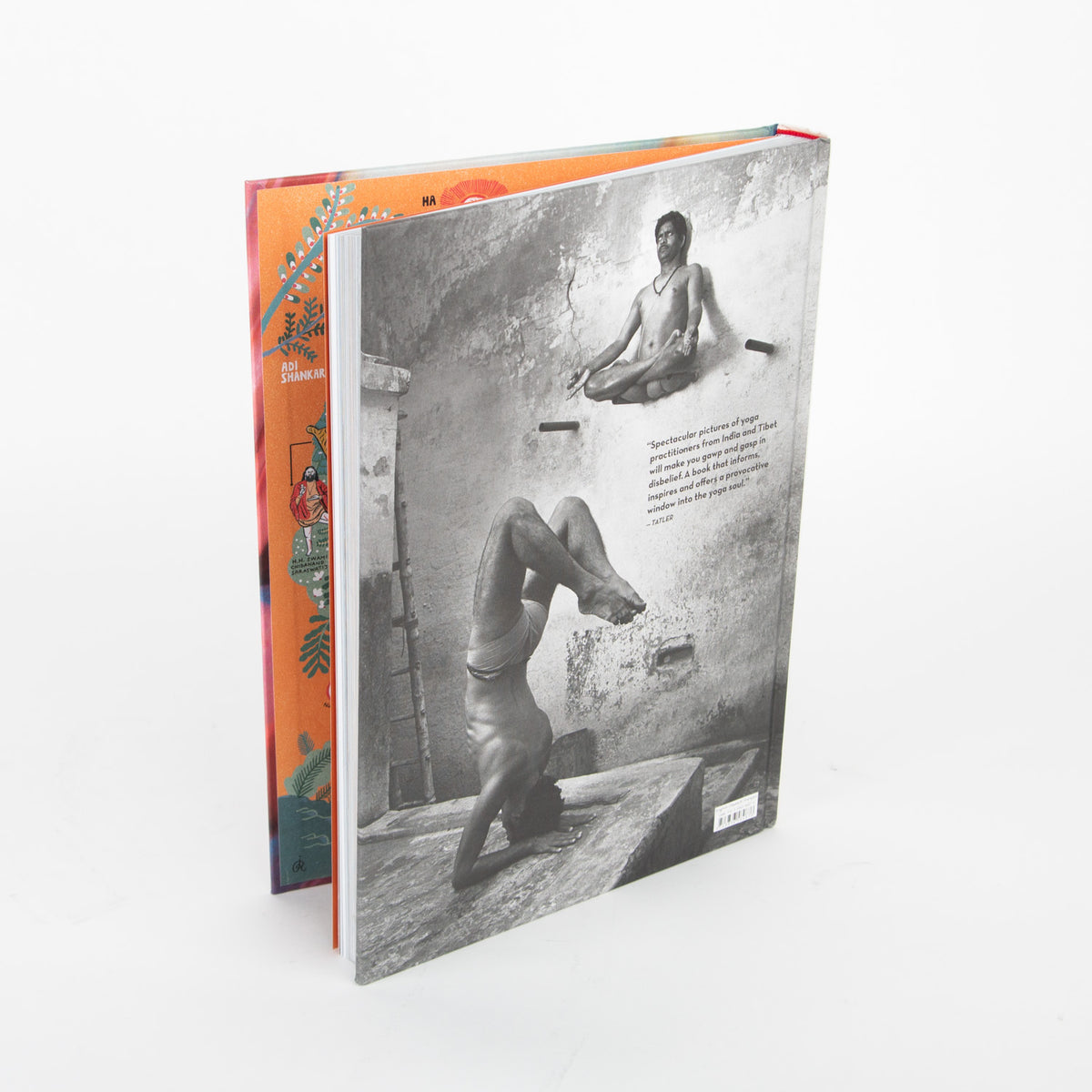 michael o'neill on yoga the architecture of peace hardcover