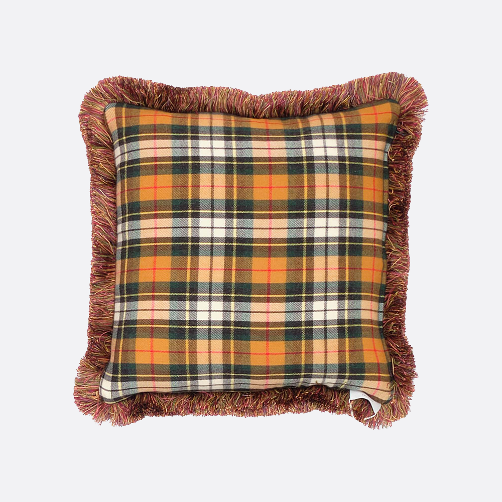 Double Sided Multicolour Cushion with Fringe 