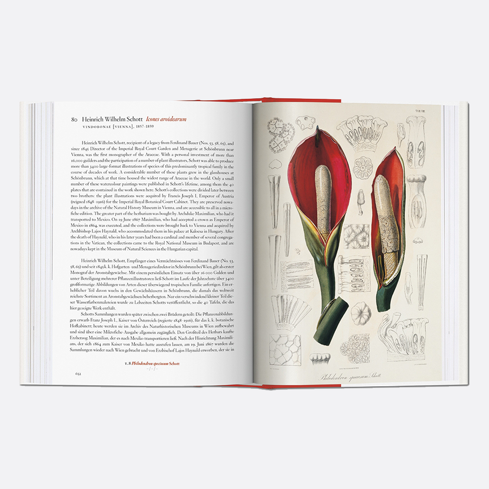 A Garden Eden. Masterpieces of Botanical Illustration. 40th Edition - Secret Location