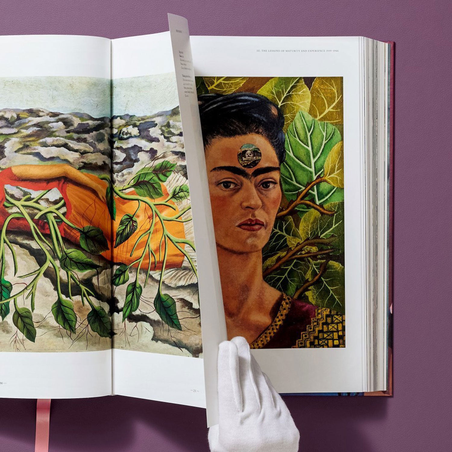 frida kahlo the complete paintings hardcover