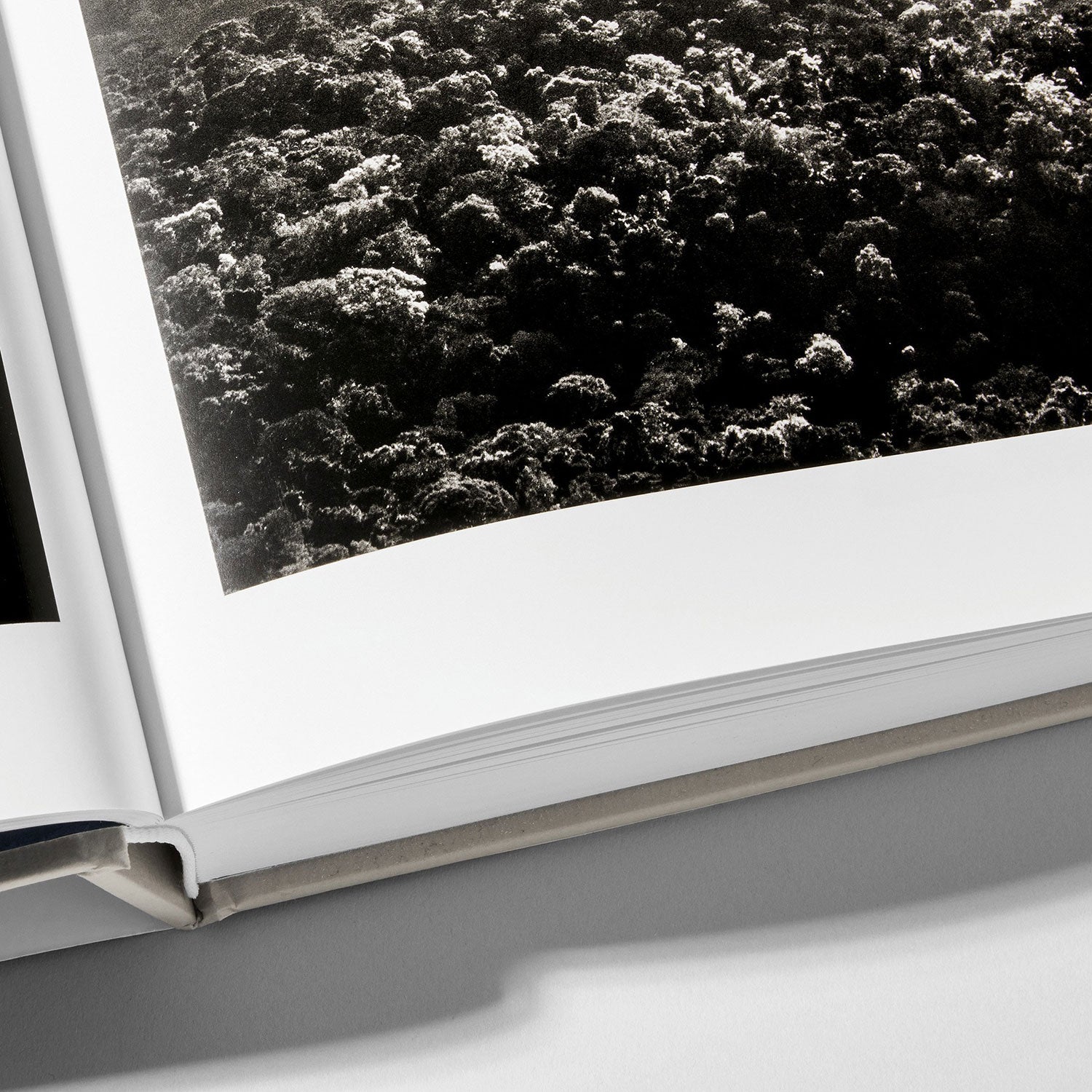 Sebastião Salgado. Amazônia