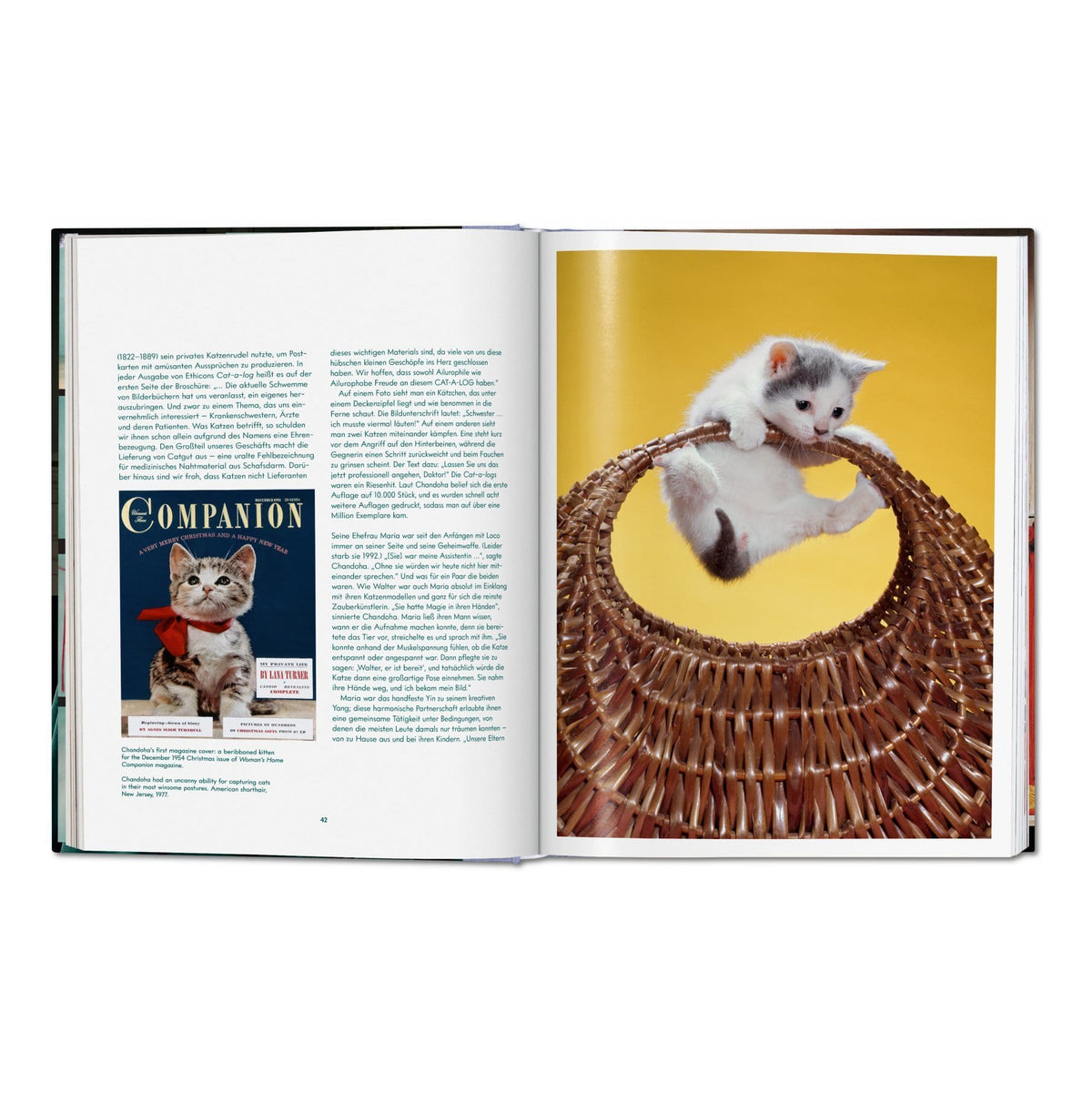 Walter Chandoha. Cats. Photographs 1942-2018 - Secret Location